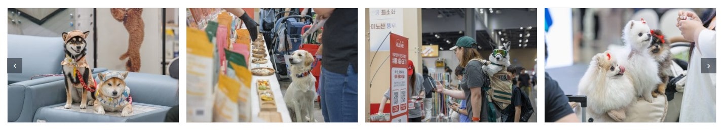 2024 케이펫페어 대구 사전 등록하고 무료 입장하는 방법(9/27~9/29)