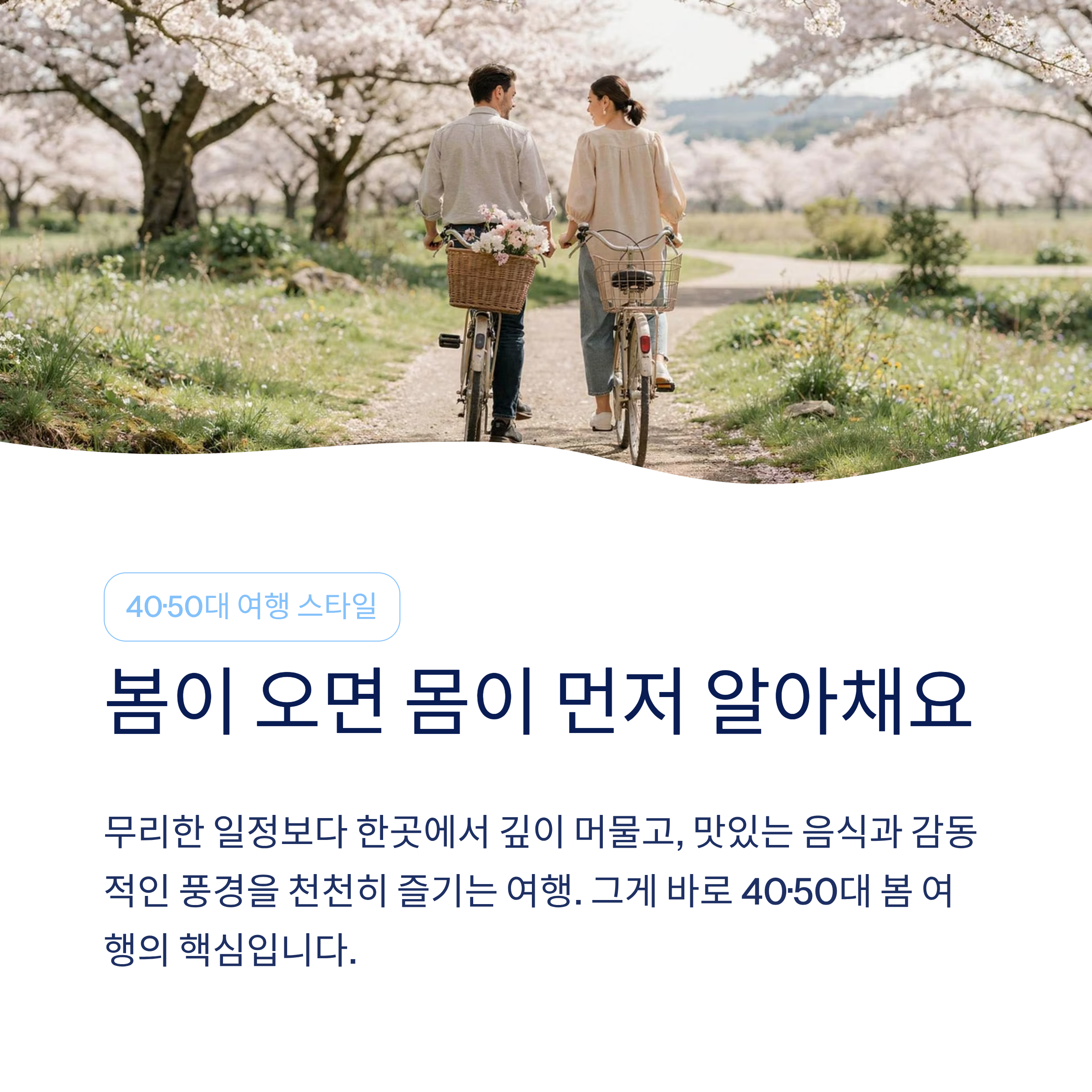 봄 국내 여행지 추천 – 40·50대가 진짜 좋아하는 가볼만한곳 총정리