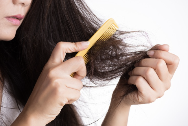 모발이식-3000모-비용