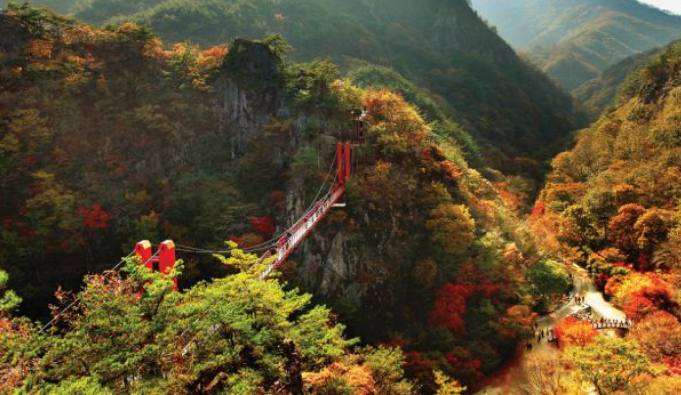 2025 두륜산 단풍 절정 시기 공개! 가을 인기 등산코스 best 3