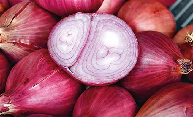 꽃가루 알레르기에 좋은 음식과 나쁜 음식