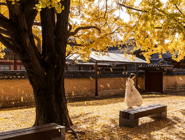 경복궁 생과방 하반기