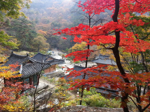 계룡산 갑사 (공주)