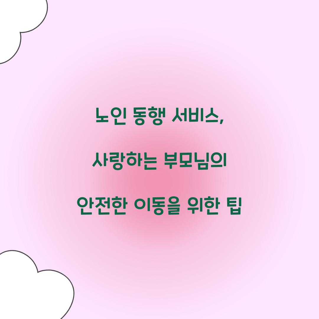 노인 동행 서비스