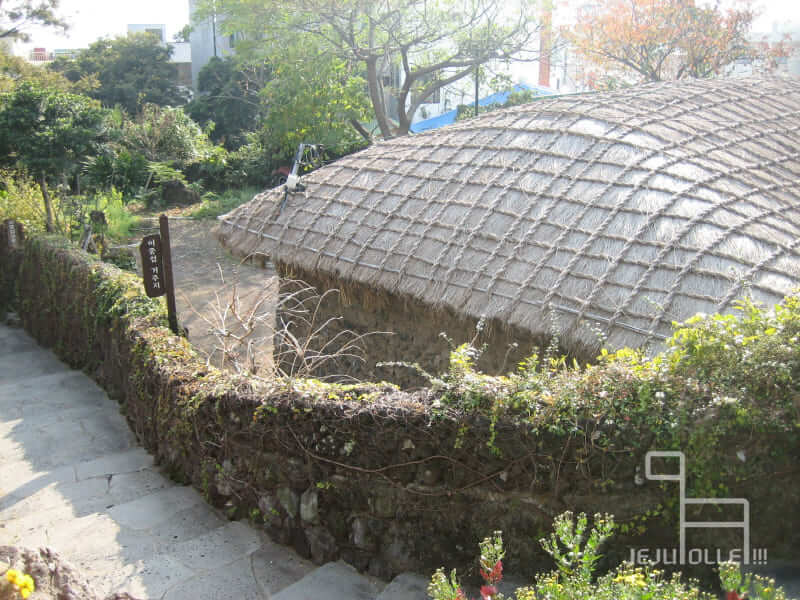 초보자도 쉽게 도전! 걷기 좋은 올레길 BEST 5 🌿