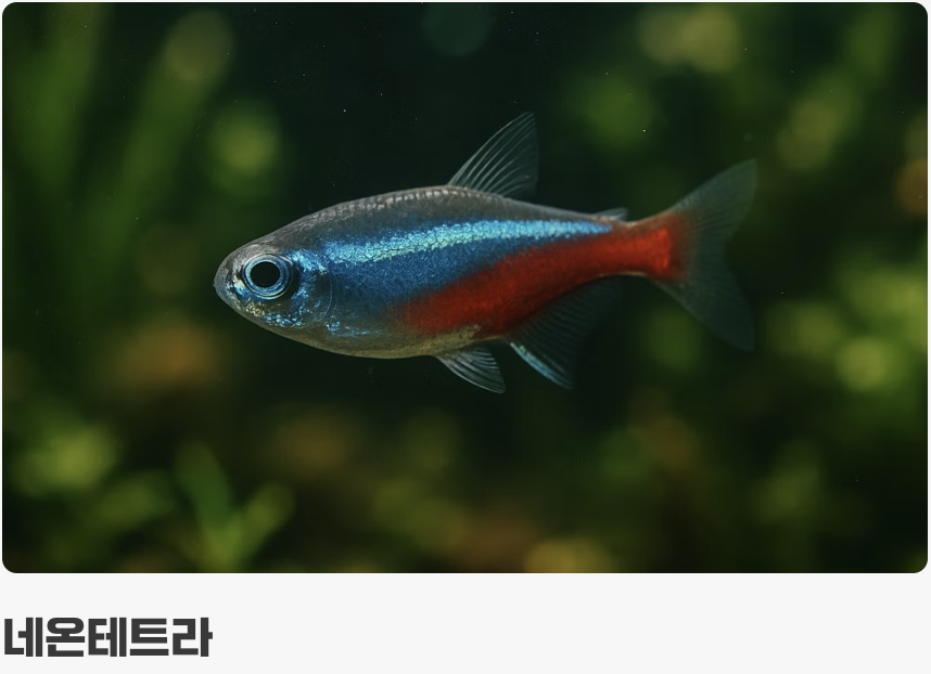 BEST 3 & 4: 중층을 아름답게 수놓을 신사들