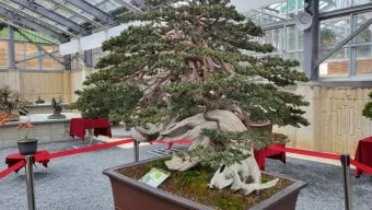 압해도 분재공원 근처 선착장에서의 낚시 농어와 도다리 포인트 소개 완벽 낚시터_16