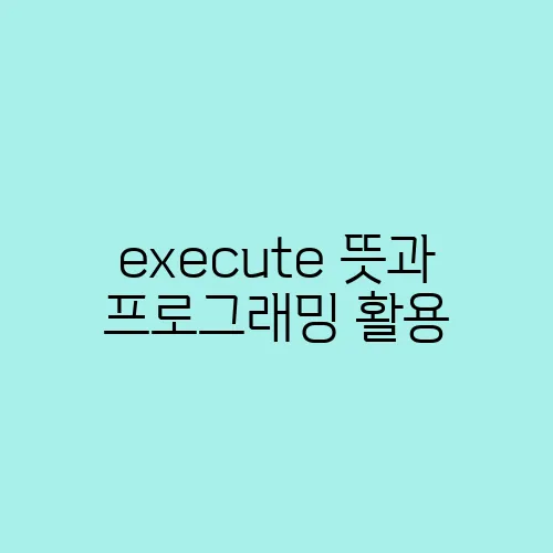 execute 뜻과 프로그래밍 활용