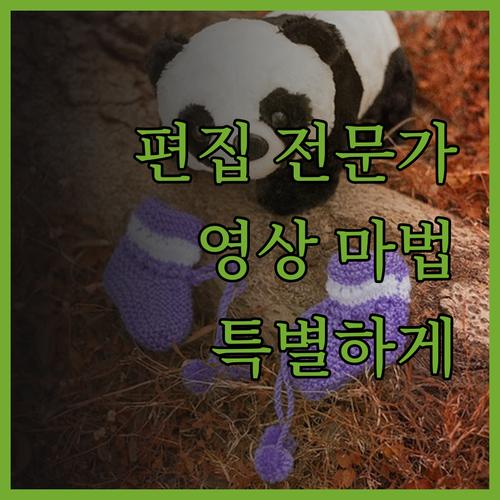 영상 편집 전문가의 손길로, 당신의 