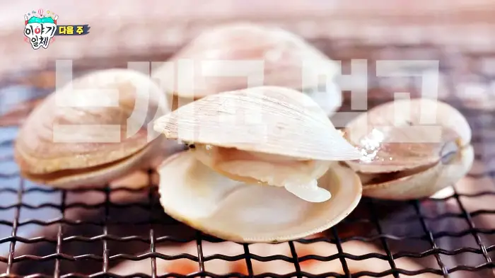 집사부일체 소설가 김영하 작가 사부님 해산물 조개구이 해물칼국수 활어회 광어 횟집 부산 청사포 맛집 소개