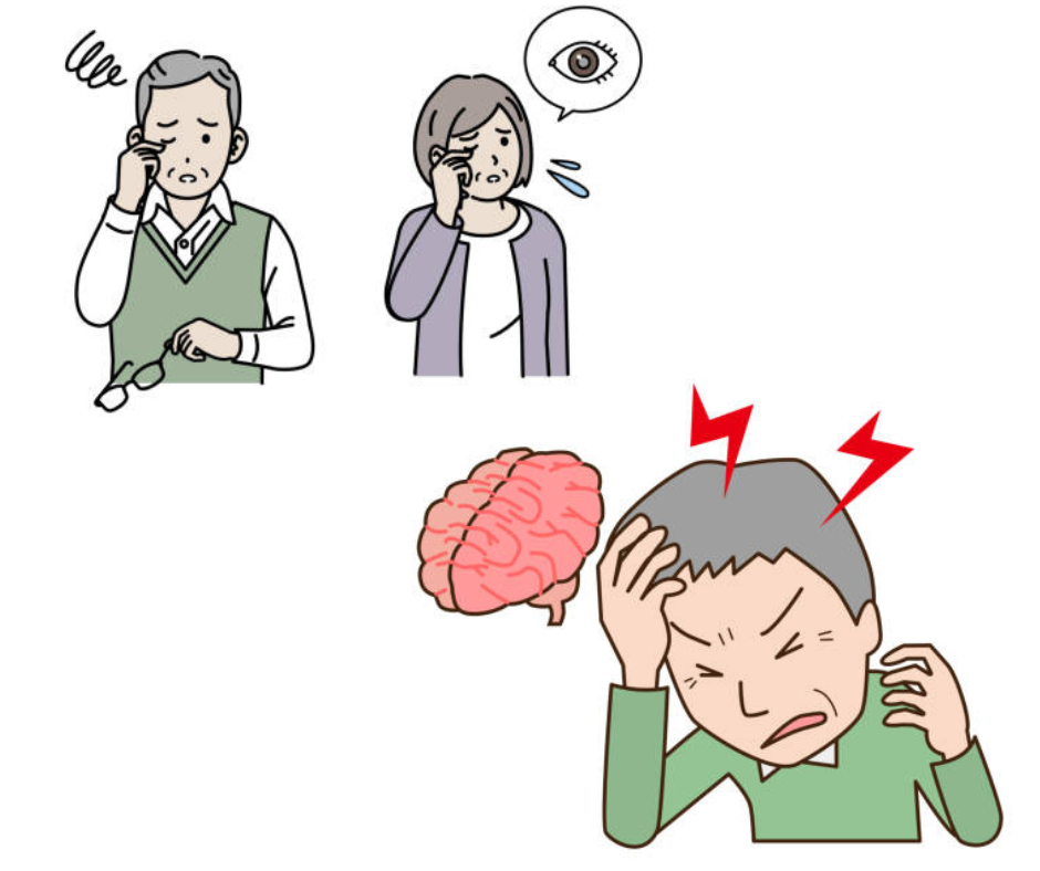 타우린 효능 눈건강 및 뇌건강