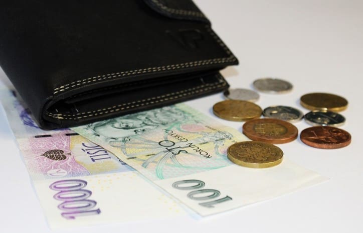 Money, Wallet, Banknotes, Coins