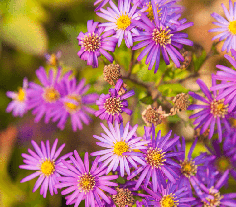 화담숲 예약 방법