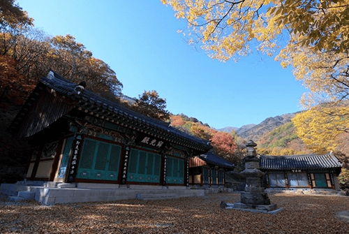 삼가동11