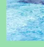 유럽풍 감성의 뮌스터담 수영장