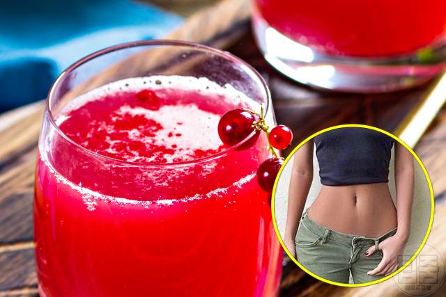 복부 체지방 빼는 음식 콤부차