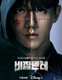 비질란테 드라마