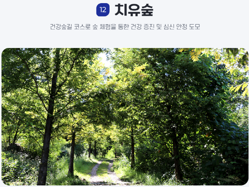 물맑음 수목원