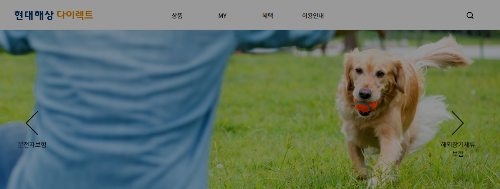 현대해상 하이펫보험