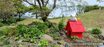 제주스누피가든