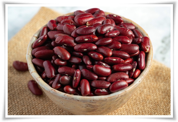 텃밭 "5월, 강낭콩 심으세요!" 콩알 콩알 재미가 톡톡, 쑥쑥 자라는 기쁨!