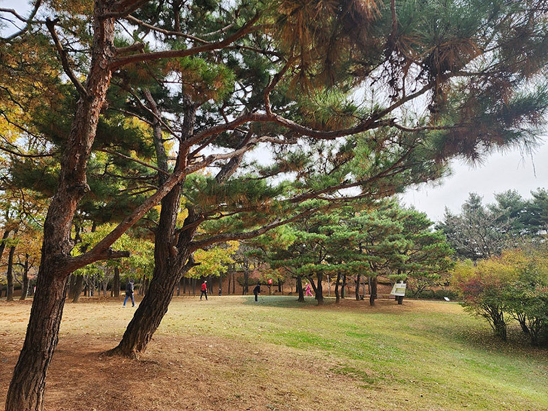 화정파크골프장 (화정 은빛공원 파크골프장) 경기도 고양시 덕양구 은빛로 77번길 14 (화정동)
