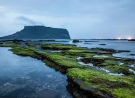 제주 우도 배시간표