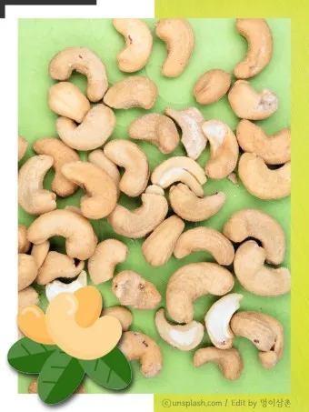 캐슈넛 효능 부작용 섭취량_10