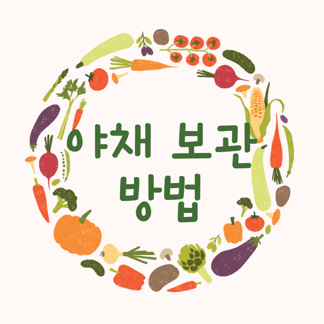 야채 보관 방법