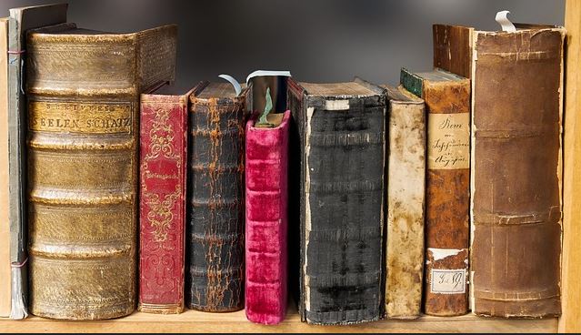 초등학생 과학 사회 공부법