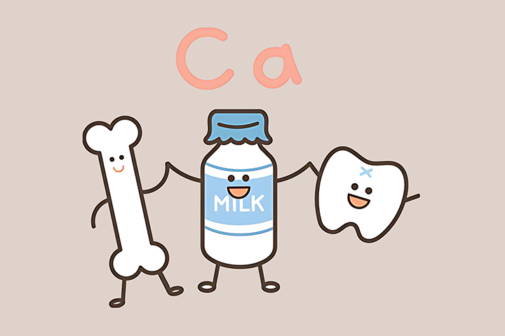 칼슘-흡수-촉진