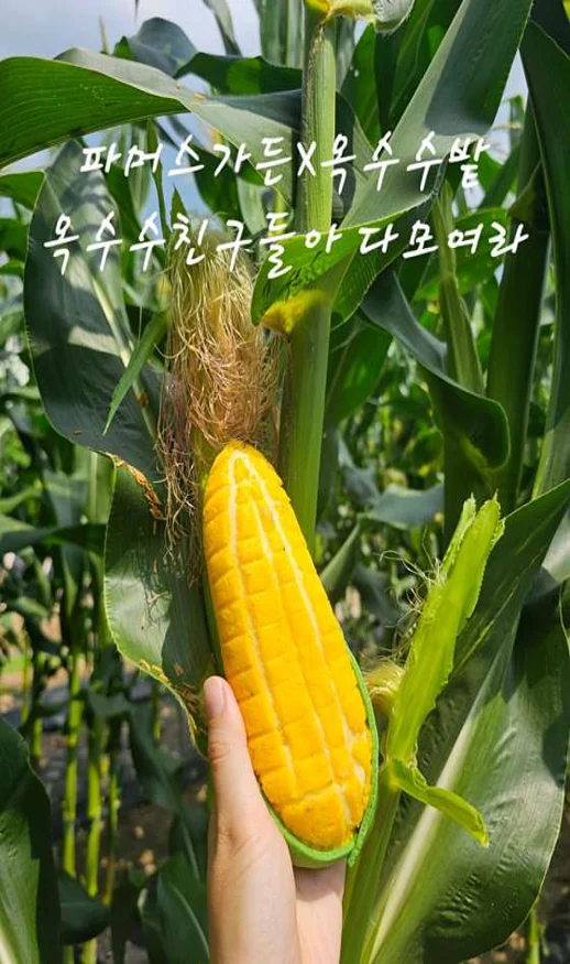 파머스가든