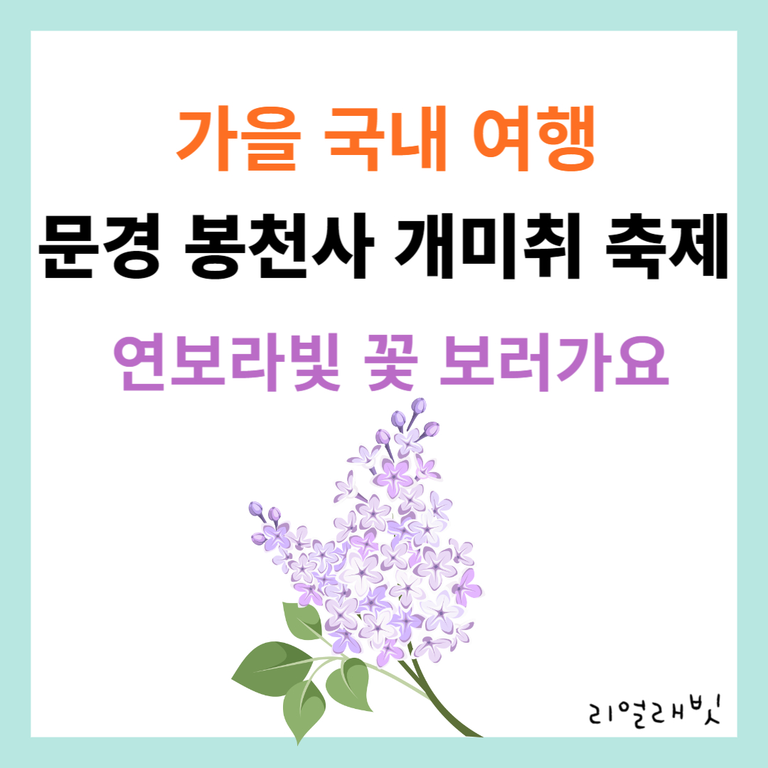 문경-봉천사-개미취축제-2023-썸네일