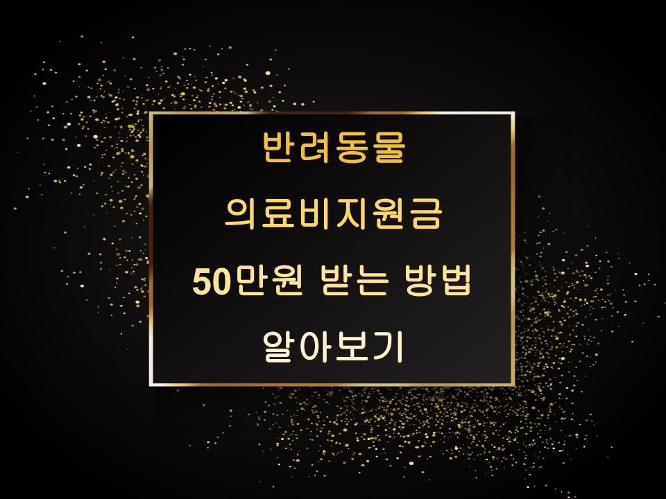반려동물 의료비지원금 50만원 받는 방법 알아보기