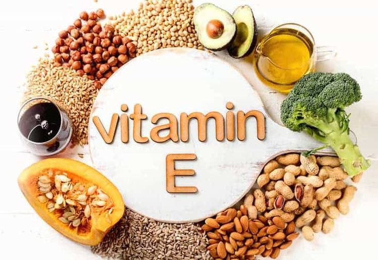 비타민E가-풍부한-음식들