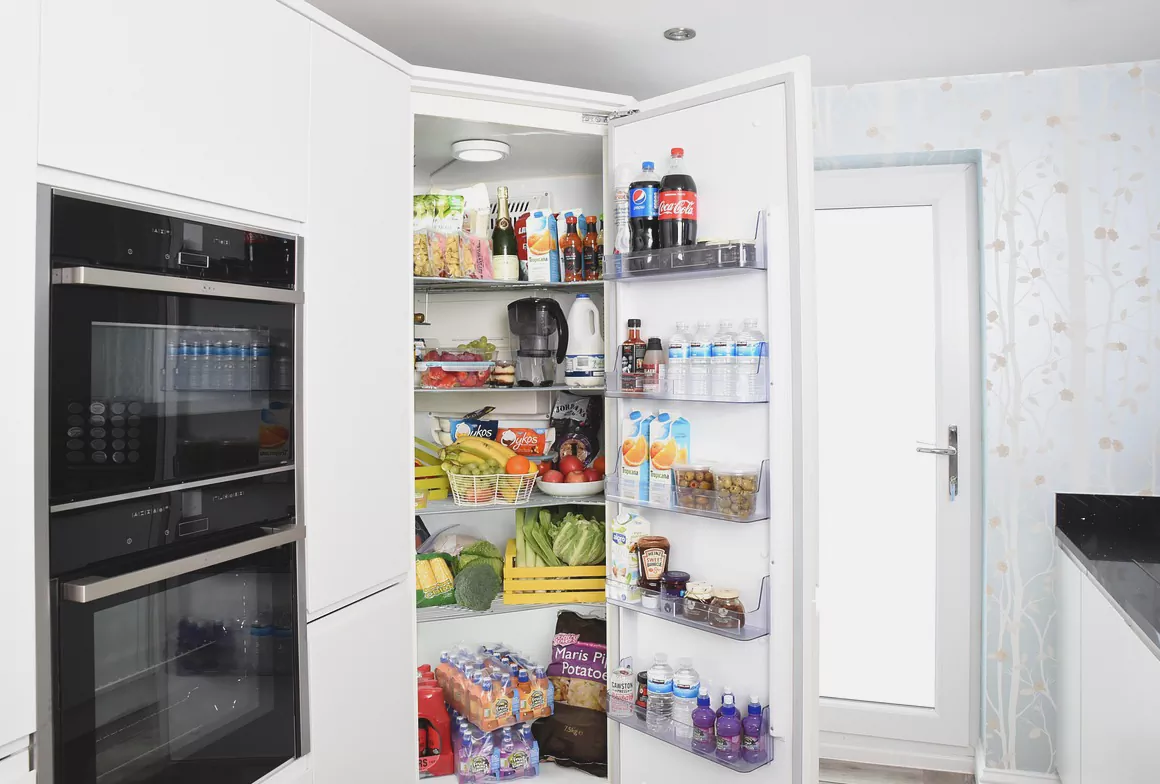 냉장고 정리 잘하는 방법 초보자도 쉽게 따라할 수 있는 꿀팁