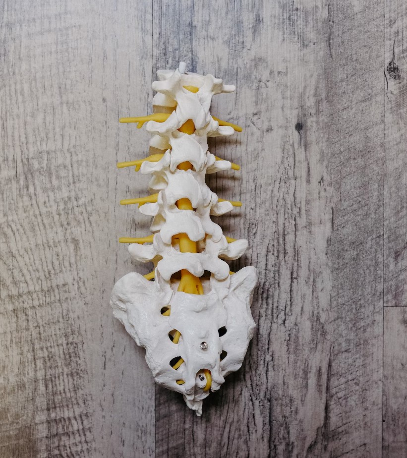 허리 통증 원인