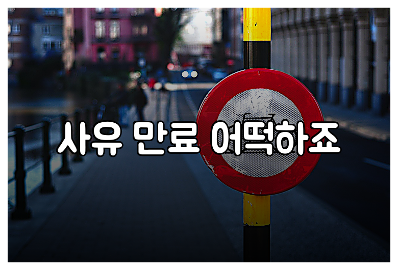 사유 만료 어떡하죠