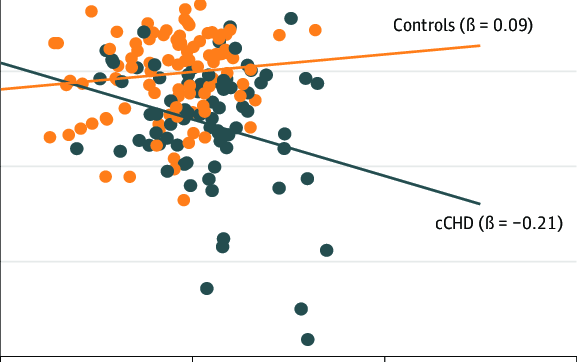 복잡한 선천성 심장질환을 가진 청소년들의 스트레스와 실행기능: 주요 발견과 시사점