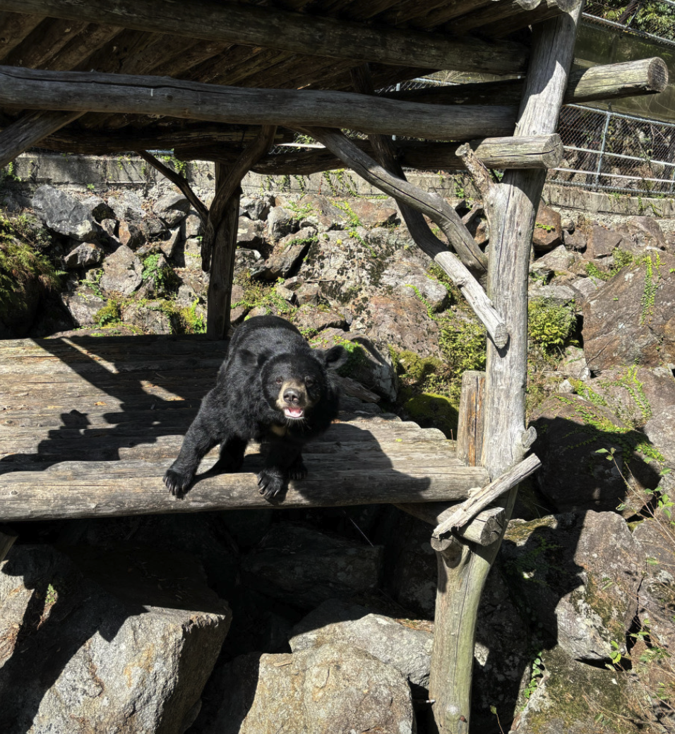 6시 내고향 하동 의신베어빌리지 반달가슴곰 체험 위치 예약 정보