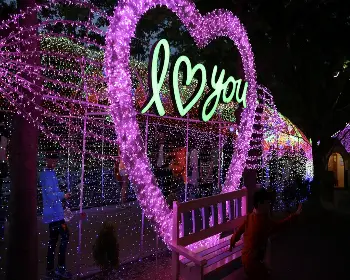 청도 프로방스 빛축제_26