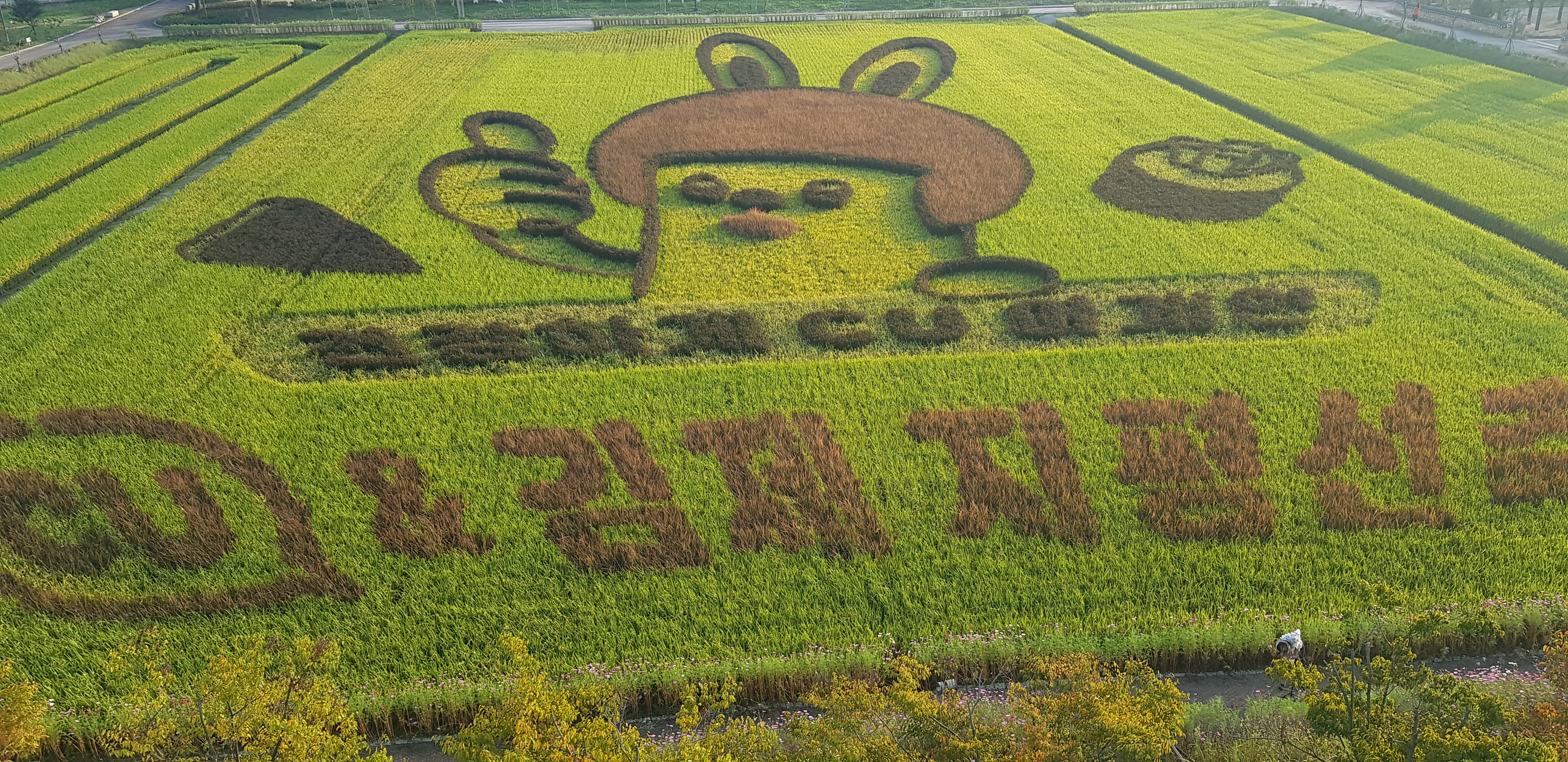 김제지평선축제