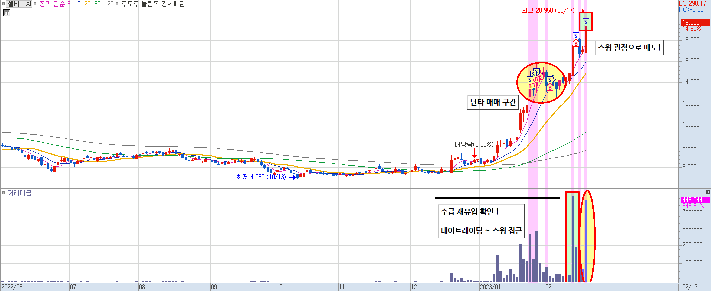 셀바스AI 일봉 차트