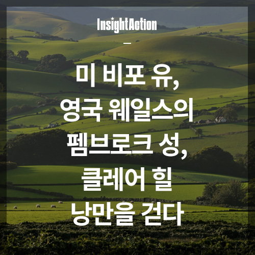 미 비포 유 썸네일