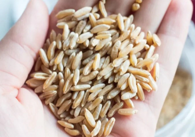 카무트쌀 먹는법