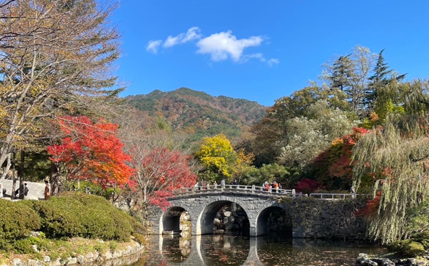 불국사 단풍