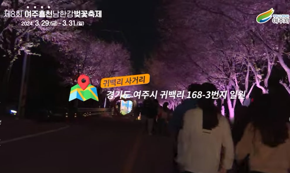 전국 벚꽃 봄꽃 축제 추천 Best 5