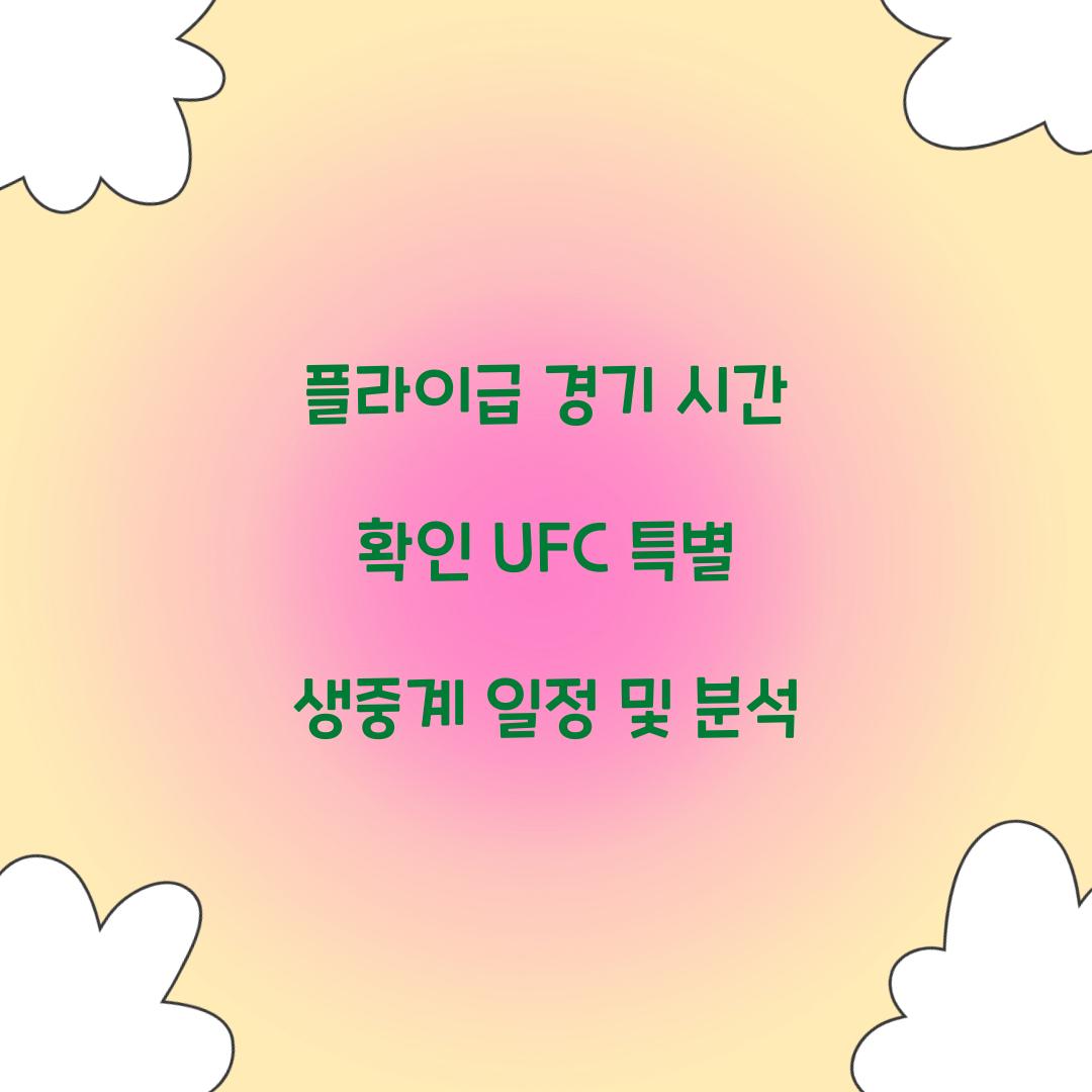 플라이급 경기 시간