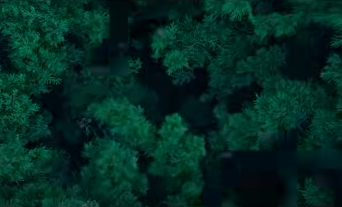 탄금 넷플릭스 오리지널 미스터리 사극