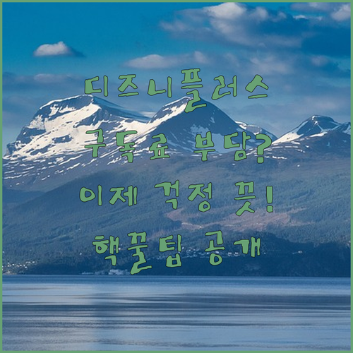 디즈니플러스 구독료 부담? 이제 걱정
